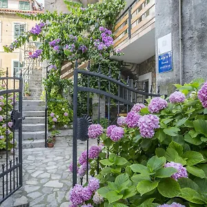 Sara Apartment